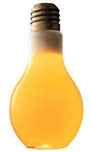 Bulb Glass